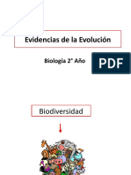 Evidencias de Evolución Fósiles