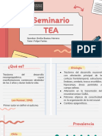 Seminario TEA