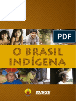 PDF Brasil Ind