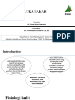 Referat Dony Luka Bakar