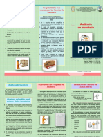 Triptico de Auditoria de Inventario