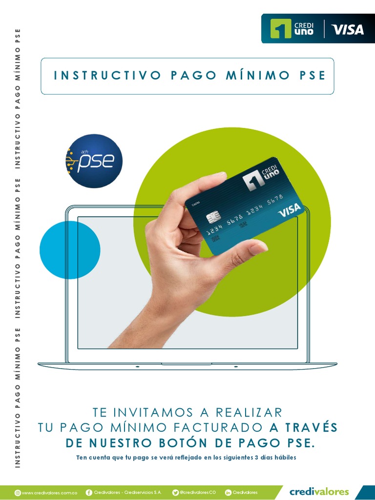 Instructivo de Pago Pse | PDF