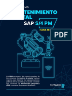 Itsystems Temario s4h PM