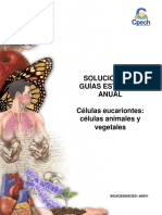 2014 Solucionario Guía Células Eucariontes Células Animales y Vegetales, Corregido
