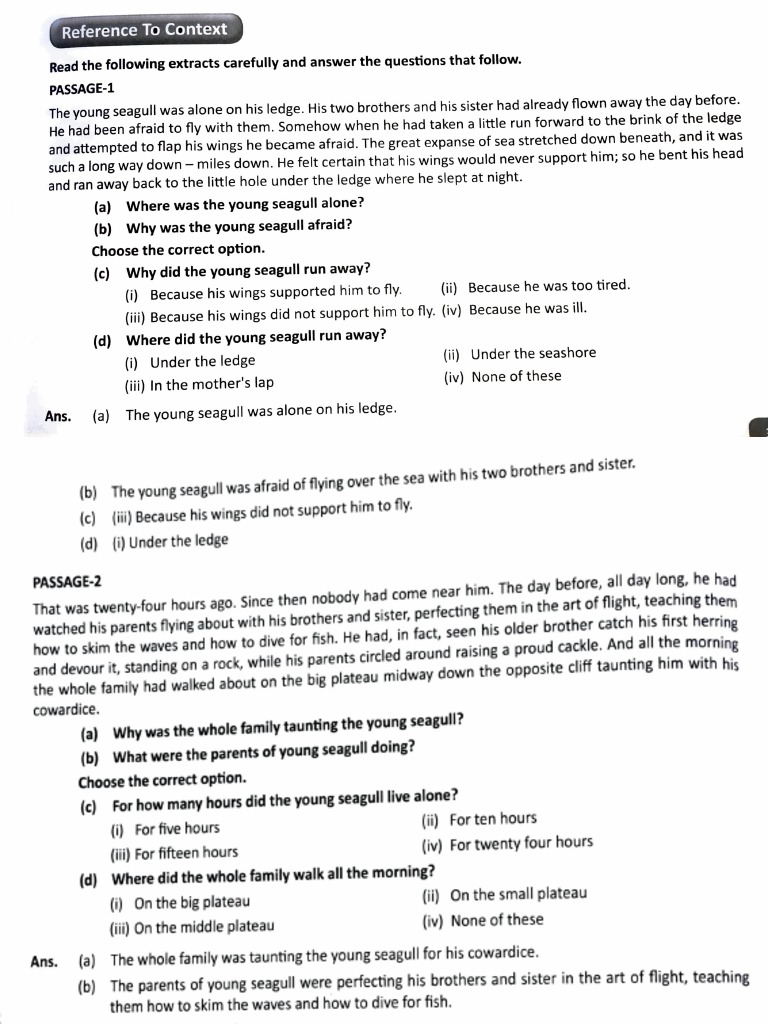 EnglishClassX ch3 His First Flight (First Flight) Extracts PDF Ornithology Birds