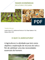 A Agricultura