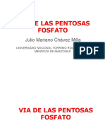 Via de Las Pentosas 2022 I Medicina