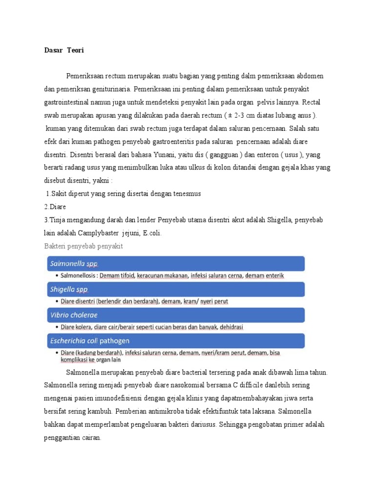 Dasar Teori Rectal Swab PDF