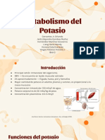 Metabolismo Del Potasio