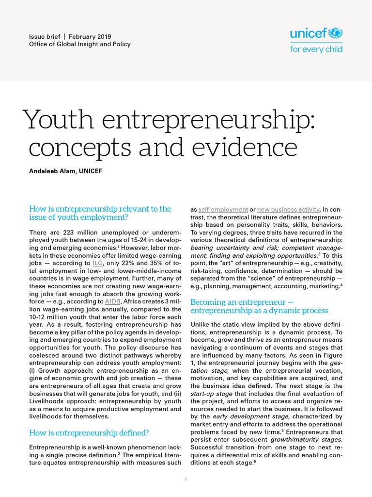 Youth Entrepreneurship Concepts and Evidence Issue Brief 2019 | PDF ...