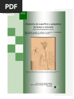 Anatomia de superfície e palpatória do braço e cotovelo