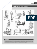 Práctica Profesional: Actividades