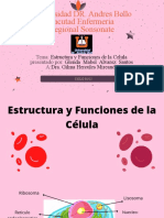 Estructura y Funciones de La Célula