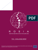 DOC20220330133829ROSIA TD2 Challenge Brief