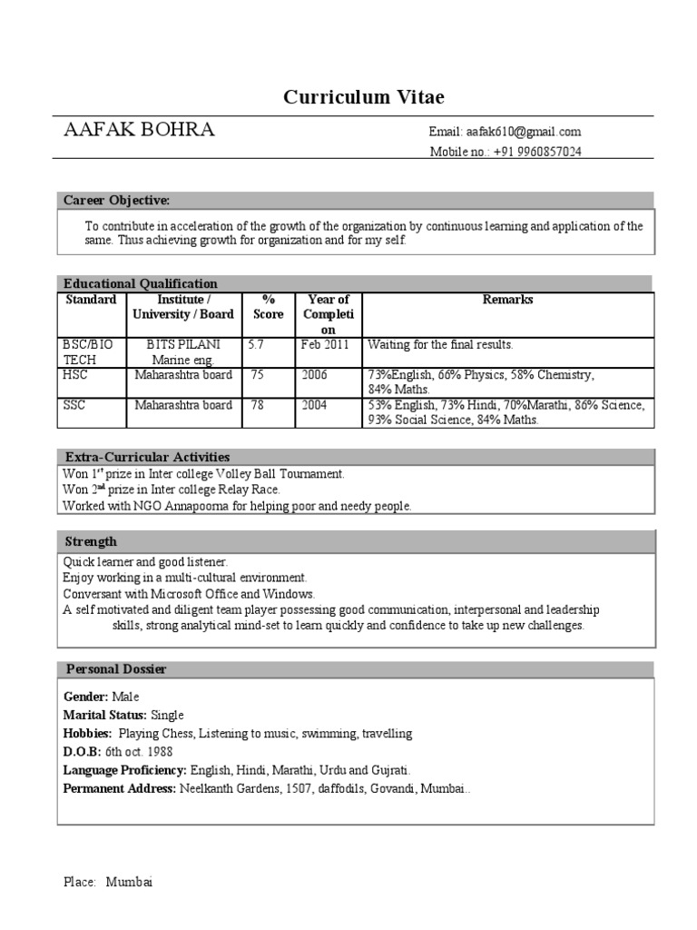 Aafak Bohra's Professional CV | PDF