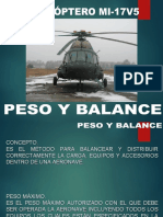 Peso y Balance