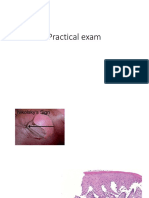 Practical Exam