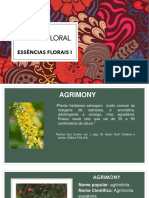 Terapia floral: Agrimony, Aspen e Beech