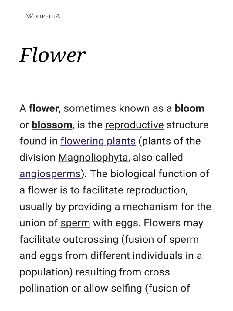 Club Blooming - Wikipedia
