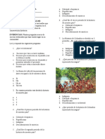 Evaluación 2do Periodo - Historia 2°