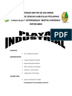 Informe de Playa Industrial