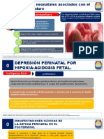 Exposicion Limpio