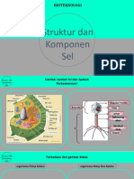 Komponen Utama Sel Tumbuhan