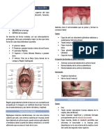 Anatomía Aplicada A Prótesis Removible