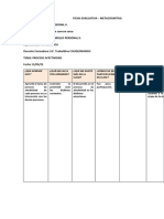 Ficha Evaluativa Metag