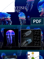 Jellyfish Als2