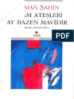 Osman Şahin - Selam Ateşleri Ay Bazen Mavidir Can Yayınları