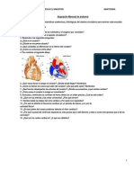 Asignación Mensual de Anatomía