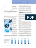 Using Centrifugation To Isolate Organelles: Key Technique