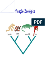 classificacao zoológica