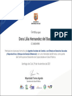 Dora Lilia Hernandez Del Basto - Certificado SSAAJ
