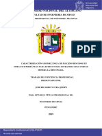 2019 - UNAP - Yucra Quispe Jose R. - Caracterizacion Geomecanica de Macizos Rocosos en Obras Subterraneas para Estructura Estratif