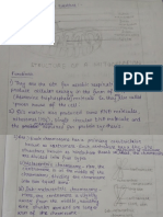 Structures and Functions of Mitochondria