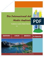 Dia Mundial Del Medio Ambiente