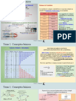 Conceptos Básicos