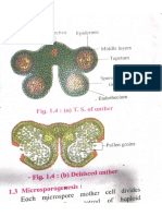Biology Diagram PDF