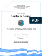 Informe Elecciones Lcca