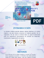 0 - Diapositivas Biologia Vf-1