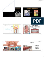 AULA 2 - Anatomia Dental (2022.1)