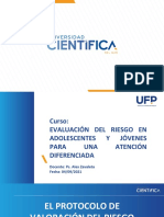 Evaluación del riesgo en adolescentes: Factores y niveles según el VRAI-P