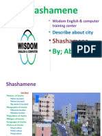 Shashamene: - Describe About City