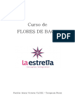 Curso de Flores de Bach: Facilita: María Victoria VLCEK - Terapeuta Floral