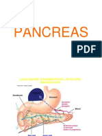 PANCREAS2021 Psicologia