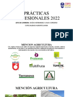 Practicas Profesionales 2022