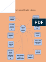 Mapa Mental Con La Descripción de Las Unidades de Información