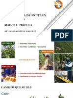 Factores y métodos para determinar la madurez de frutas y hortalizas